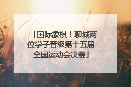 国际象棋！聊城两位学子晋级第十五届全国运动会决赛