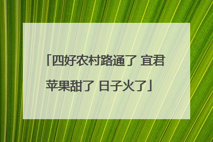 四好农村路通了 宜君苹果甜了 日子火了