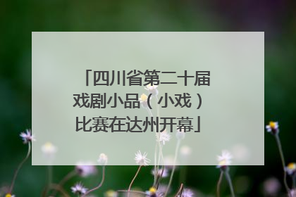 四川省第二十届戏剧小品（小戏）比赛在达州开幕