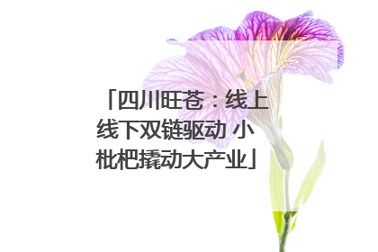 四川旺苍：线上线下双链驱动 小枇杷撬动大产业