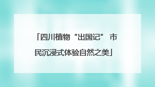 四川植物“出国记” 市民沉浸式体验自然之美