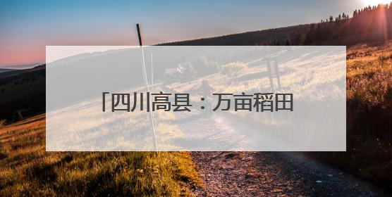 四川高县：万亩稻田绿意盎然 美景如画