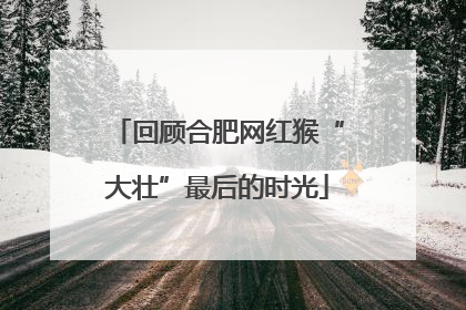 回顾合肥网红猴“大壮”最后的时光