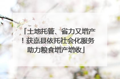 土地托管、省力又增产！获嘉县依托社会化服务助力粮食增产增收