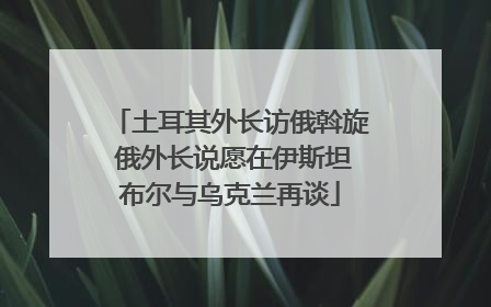 土耳其外长访俄斡旋 俄外长说愿在伊斯坦布尔与乌克兰再谈