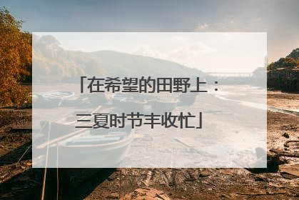 在希望的田野上：三夏时节丰收忙