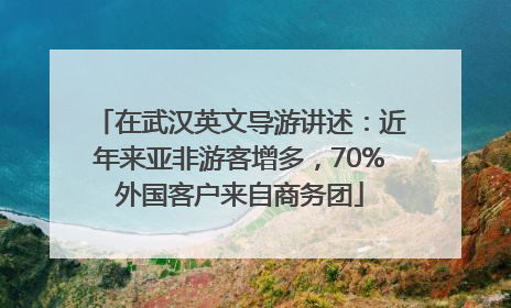 在武汉英文导游讲述：近年来亚非游客增多，70%外国客户来自商务团