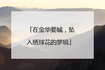 在金华婺城，坠入绣球花的梦境