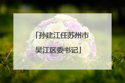 孙建江任苏州市吴江区委书记