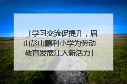 学习交流促提升，眉山彭山鹏利小学为劳动教育发展注入新活力