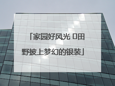 家园好风光 ⎮田野披上梦幻的银装