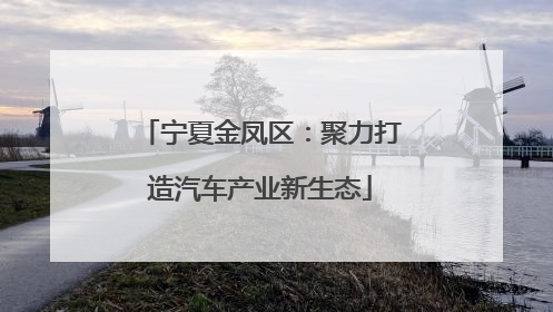 宁夏金凤区：聚力打造汽车产业新生态