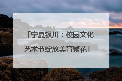 宁夏银川：校园文化艺术节绽放美育繁花