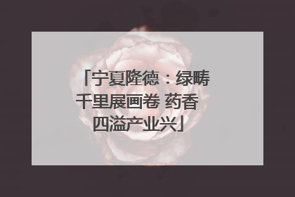 宁夏隆德：绿畴千里展画卷 药香四溢产业兴