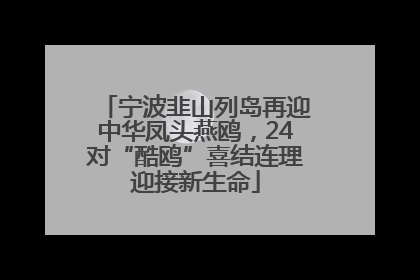 宁波韭山列岛再迎中华凤头燕鸥，24对“酷鸥”喜结连理迎接新生命