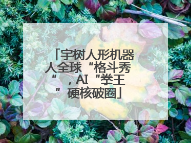 宇树人形机器人全球“格斗秀”，AI“拳王”硬核破圈