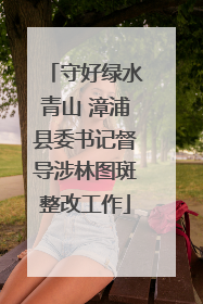 守好绿水青山 漳浦县委书记督导涉林图斑整改工作