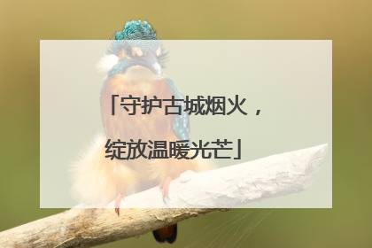 守护古城烟火，绽放温暖光芒