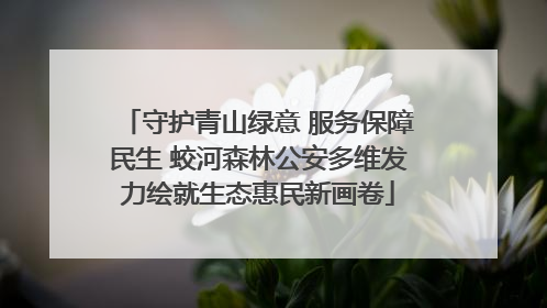 守护青山绿意 服务保障民生 蛟河森林公安多维发力绘就生态惠民新画卷