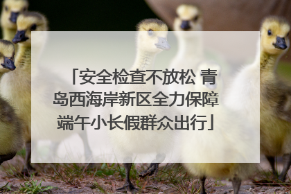 安全检查不放松 青岛西海岸新区全力保障端午小长假群众出行