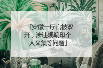安徽一厅官被双开，涉违规编印个人文集等问题