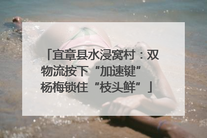 宜章县水浸窝村：双物流按下“加速键” 杨梅锁住“枝头鲜”