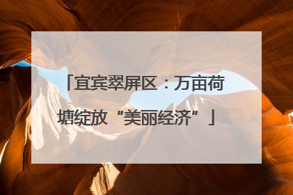 宜宾翠屏区：万亩荷塘绽放“美丽经济”