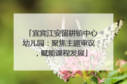 宜宾江安留耕镇中心幼儿园：聚焦主题审议，赋能课程发展