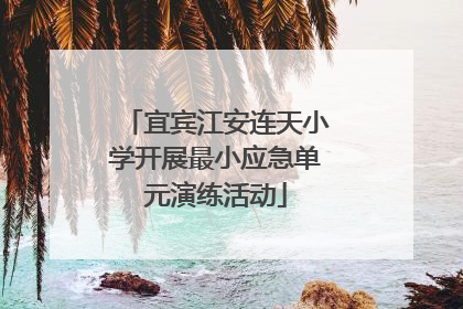 宜宾江安连天小学开展最小应急单元演练活动