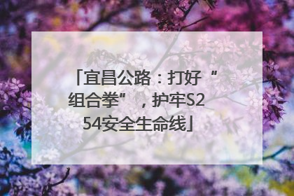 宜昌公路：打好“组合拳”，护牢S254安全生命线