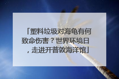塑料垃圾对海龟有何致命伤害？世界环境日，走进开普敦海洋馆