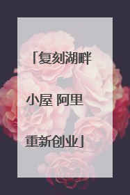 复刻湖畔小屋 阿里重新创业