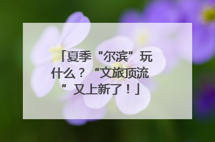 夏季“尔滨”玩什么？“文旅顶流”又上新了！