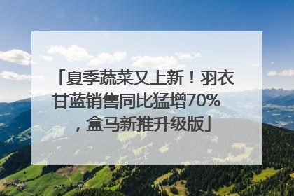 夏季蔬菜又上新！羽衣甘蓝销售同比猛增70%，盒马新推升级版