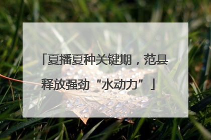 夏播夏种关键期，范县释放强劲“水动力”