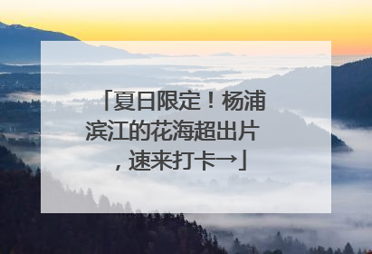 夏日限定！杨浦滨江的花海超出片，速来打卡→