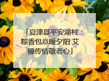 夏津县平安湖村：粽香包意暖夕阳 艾锤传情敬老心