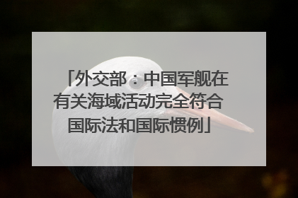 外交部：中国军舰在有关海域活动完全符合国际法和国际惯例