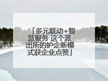 多元联动+智慧服务 这个派出所的护企新模式获企业点赞