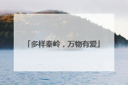 多样秦岭，万物有爱