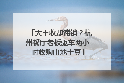 大丰收却滞销？杭州餐厅老板驱车两小时收购山地土豆