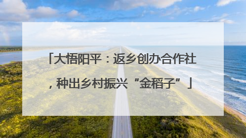 大悟阳平：返乡创办合作社，种出乡村振兴“金稻子”
