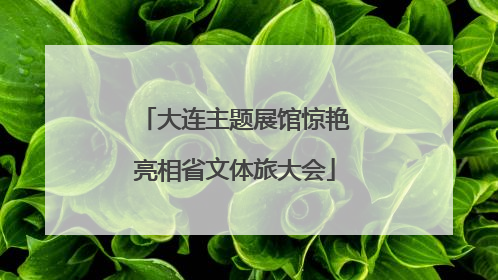 大连主题展馆惊艳亮相省文体旅大会