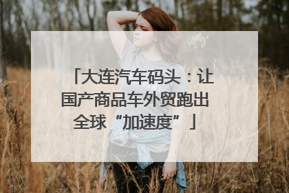 大连汽车码头：让国产商品车外贸跑出全球“加速度”