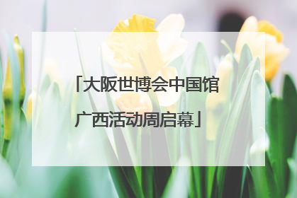 大阪世博会中国馆广西活动周启幕
