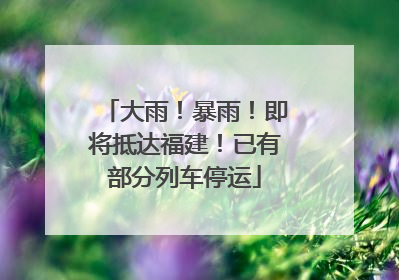 大雨！暴雨！即将抵达福建！已有部分列车停运