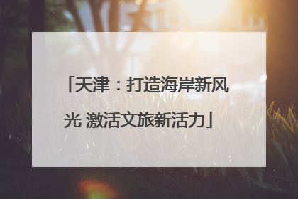 天津：打造海岸新风光 激活文旅新活力