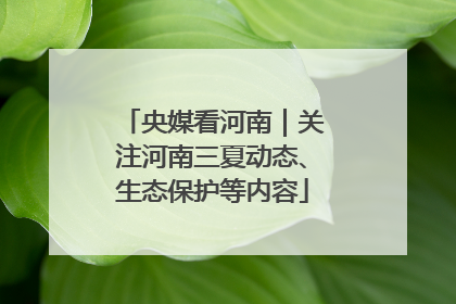 央媒看河南｜关注河南三夏动态、生态保护等内容