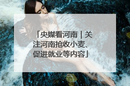 央媒看河南｜关注河南抢收小麦、促进就业等内容