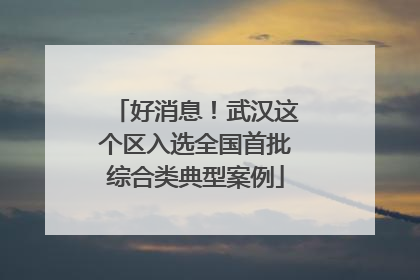 好消息！武汉这个区入选全国首批综合类典型案例